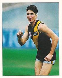 1994 Select AFL Stickers #196 Wayne Campbell Front